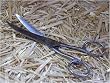 Mane & Tail Shears