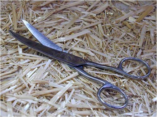 Mane & Tail Shears