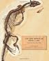 The Lost World of Fossil Lake: Snapshots from Deep Time