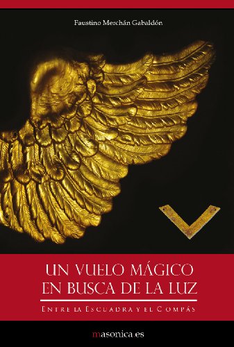 Un vuelo mágico en busca de la Luz (Spanish Edition)