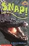 Snap!: A Book about Alligators and Crocodiles (Hello Reader! Science: Level 3)