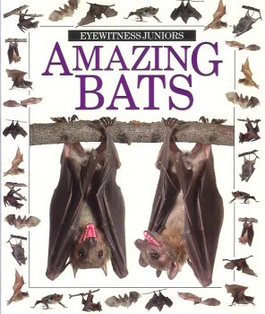 Bats