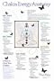 Chakra Energy Anatomy Poster