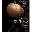 うまれたよ！カブトムシ<br>新開 孝写真 小杉 みのり構成・文 <br>岩崎書店<br>2310円<br>ISBN:9784265020478