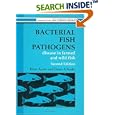 Bacterial Fish Pathogens: Diseas In Farmed And Wild Fish Horwood Series in Aquaculture and Fisheries Support) by Brian Austin and Dawn A. Austin