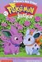 Nidoran's New Friend (Pokemon Junior)