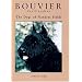 Bouvier Des Flanders: The Dogs of Flandres Fields