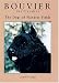 Bouvier Des Flanders: The Dogs of Flandres Fields