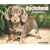 Just Dachshund Puppies 2009 Calendar