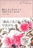 露出と光と色がわかる 写真のきほんBOOK (カメラきほんBOOK)