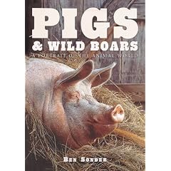 Pigs & Wild Boar (Portrait of the Animal World)