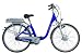 AsVIVA ELEKTROFAHRRAD DELUXE IV, e-Bike, Pedelec Fahrrad