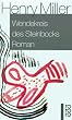 Wendekreis des Steinbocks