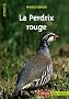 La perdrix rouge