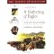 DACE Cert FA Reading List