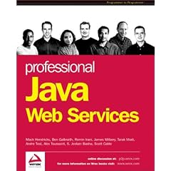 Professional Java Web Services