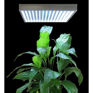 New 225 White LED Aquarium Grow Light Panel Hydropronic Lamp by