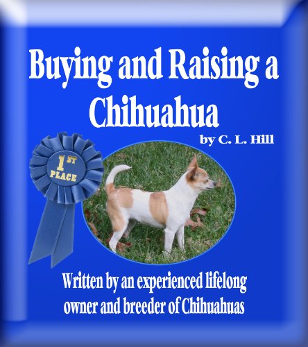 Buying and Raising Chihuahuas