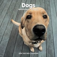 The Dogs Wall Calendar (en anglais)