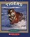 Tigers (True Books)
