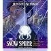 Snow Spider (Magician Trilogy (Scholastic))