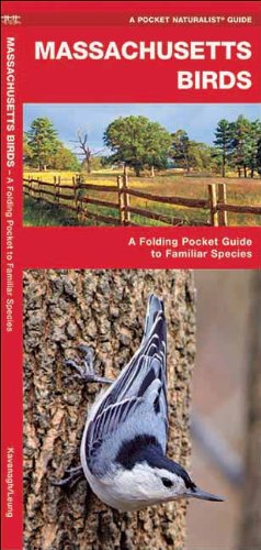Massachusetts Birds: A Folding Pocket Guide to Familiar Species (Pocket Naturalist Guide Series)