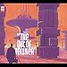 The Out of Towner
