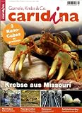Magazine - caridina [Jahresabo]