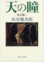 天の瞳 成長編〈1〉 (角川文庫)