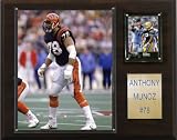 NFL Anthony Munoz Cincinnati Bengals Player Plaque
