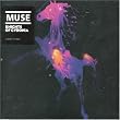 Knights of Cydonia