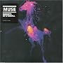 Knights Of Cydonia