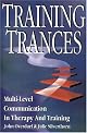 Training Trances: Multi-Level Communication in Therapy and Training