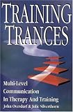 Training Trances: Multi-Level Communication in Therapy and Training