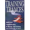 Training Trances: Multi-Level Communication in Therapy and Training