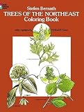 Cover of Trees of the Northeast by Stefen Bernath 0486237346