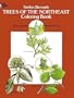 Trees of the Northeast Coloring Book (Colouring Books)