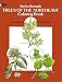 Trees of the Northeast (Colouring Books)
