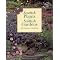 Plants, Gardens and Schools