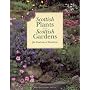 Scottish Plants for Scottish Gardens