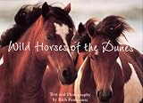Wild Horses Of The Dunes