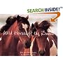 Wild Horses Of The Dunes