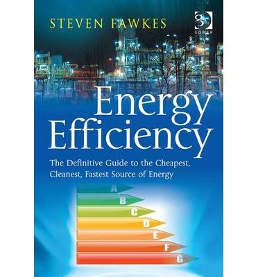 [(Energy Efficiency: The Definitive Guide to the Cheapest, Cleanest, Fastest Source of Energy )] [Author: Steven Fawkes] [Oct-2013]