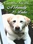 A Family for Luke (Thorndike Christian Romance)