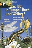 Was lebt in Tmpel, Bach und Weiher?