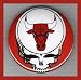 Chicago Bulls Grateful Dead 2.25 Inch Magnet
