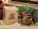 Italian Herb Garden - Terra Cotta Planter with Basil, Chives and Oregano Seeds