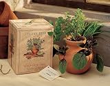 Italian Herb Garden – Terra Cotta Planter with Basil, Chives and Oregano Seeds