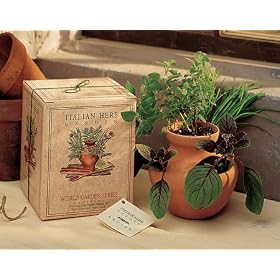 Italian Herb Garden - Terra Cotta Planter with Basil, Chives and Oregano Seeds