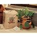 Italian Herb Garden - Terra Cotta Planter with Basil, Chives and Oregano Seeds